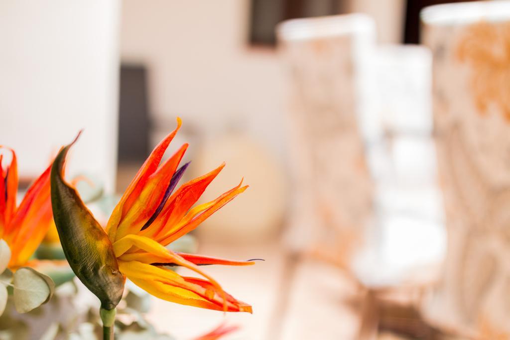 La Torre Apartment Cordoba Luaran gambar
